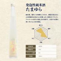 [凍眠生酒]　発泡性純米酒　たまゆら 300ml